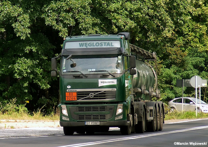 Volvo FH 500 Globetrotter III #ST 95865