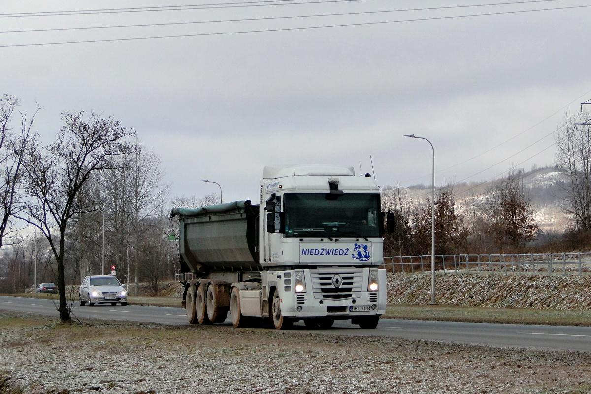 Renault Magnum 460 E-Tech #DBL 31N4