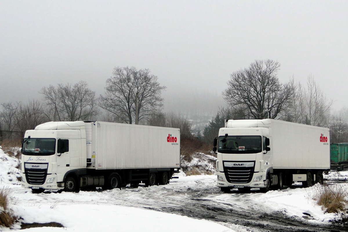 DAF XF 480 SC #PO 3XC81